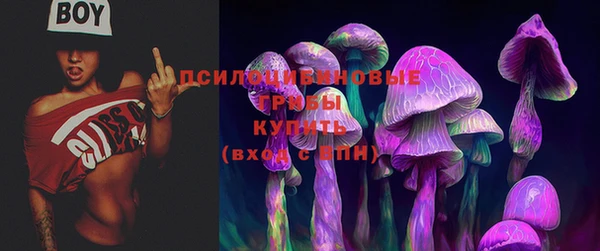 индика Покров