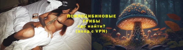 индика Покров