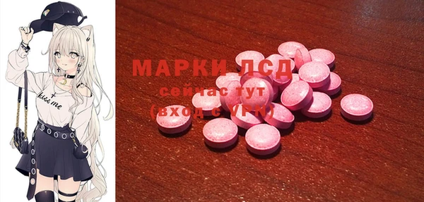 индика Покров