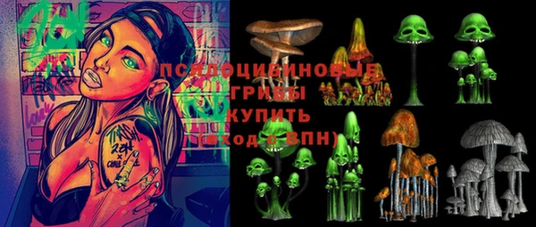 спиды Белокуриха