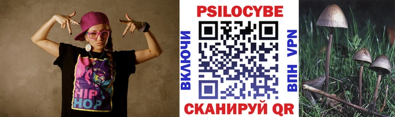 shop клад  Шелехов  Псилоцибиновые грибы Psilocybine cubensis  как найти закладки 